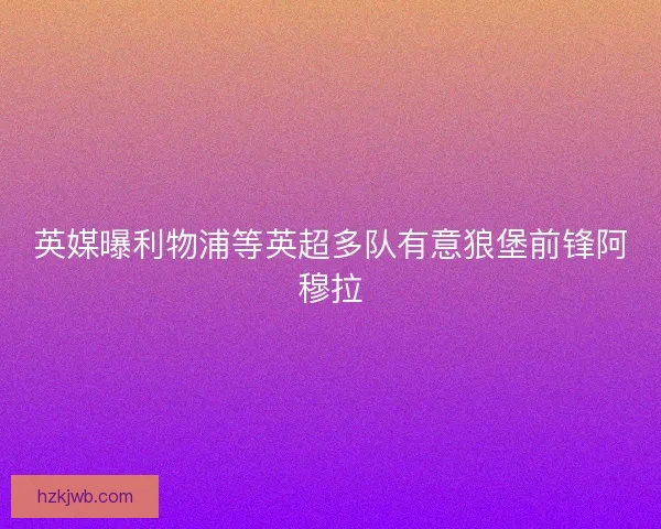 英媒曝利物浦等英超多队有意狼堡前锋阿穆拉